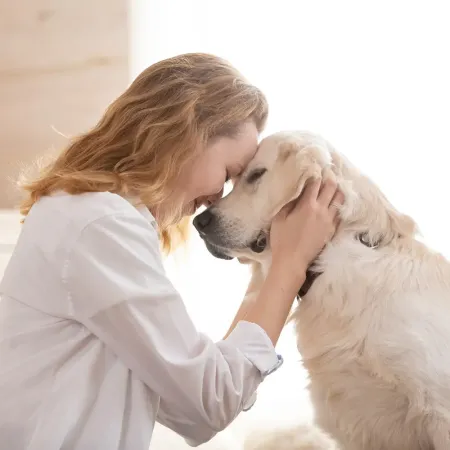 End-of-life pet care in Ottawa