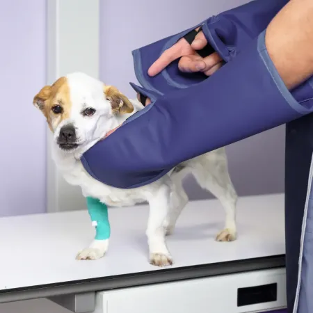 Animal digital radiology services Ottawa